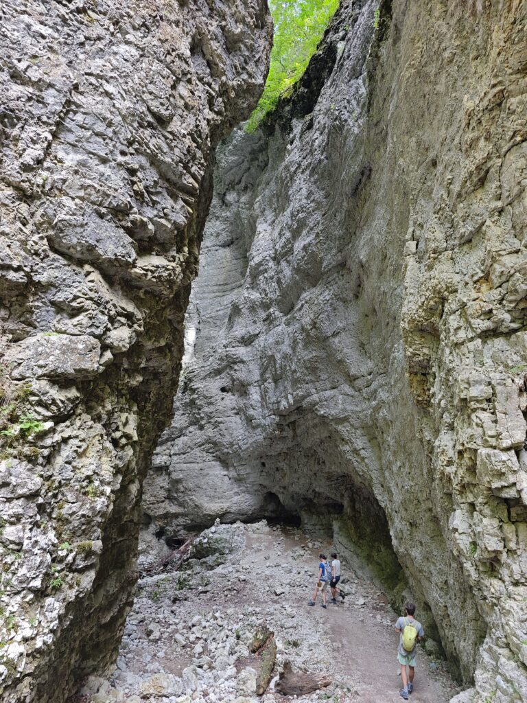 Der Zustieg zur Pokljuka-Schlucht führt durch diese Felsen