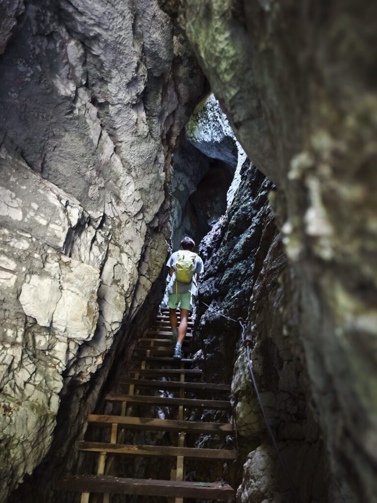 Der Wanderweg führt mitten durch die Felsen der Pokljuka Schlucht