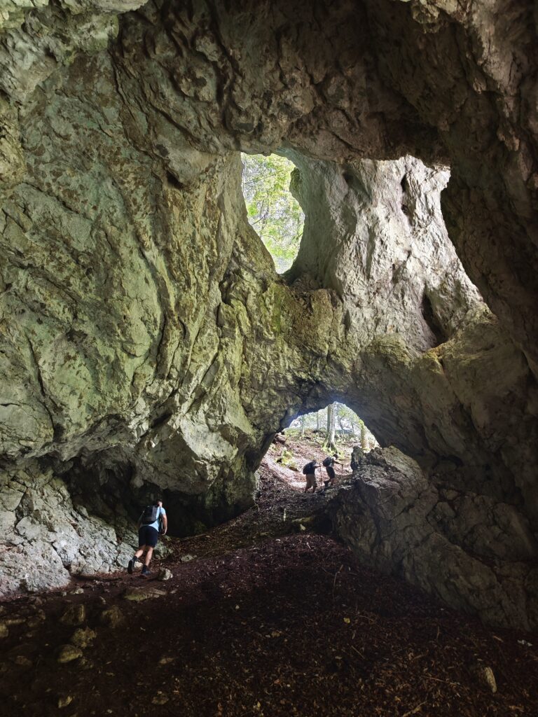 Pokljuka Schlucht